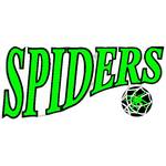 霍恩斯比蜘蛛女篮